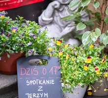 WW_20190429_07545_KNG_D3_1900px_fotoWojciechWandzel